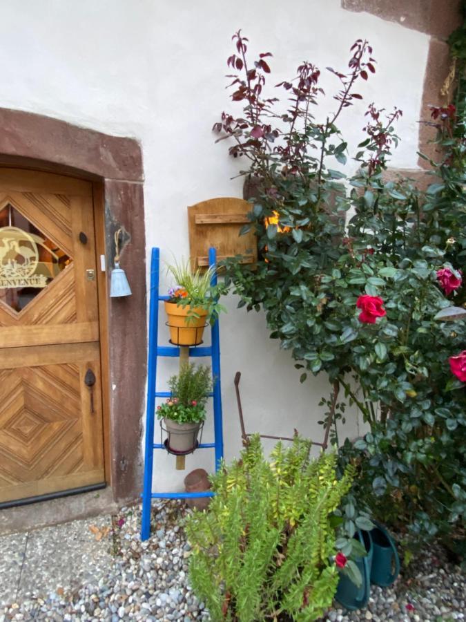 Le Nid De Cigognes Hotel Hengwiller Bagian luar foto
