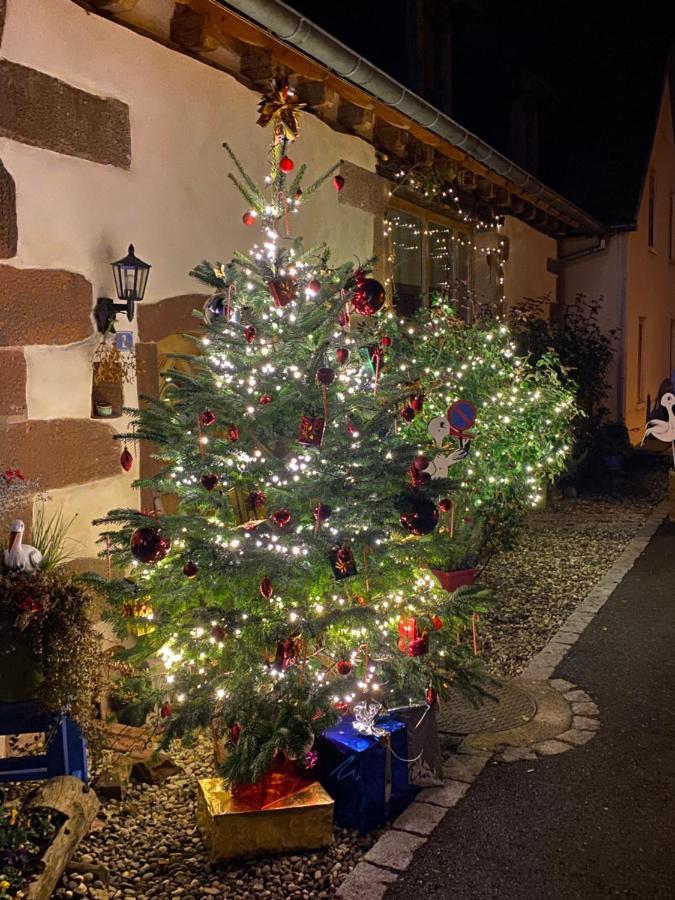 Le Nid De Cigognes Hotel Hengwiller Bagian luar foto