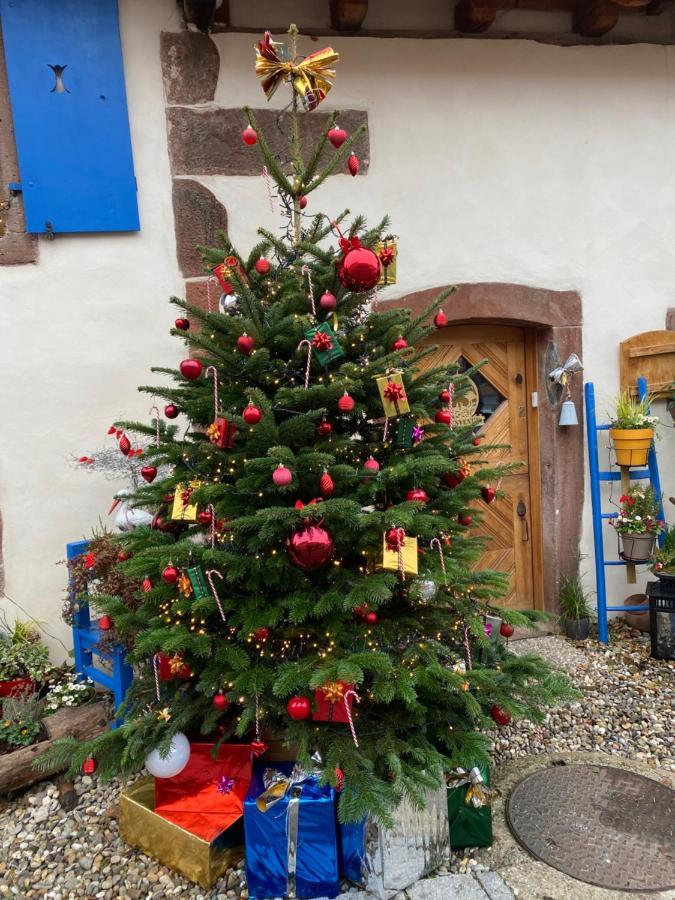 Le Nid De Cigognes Hotel Hengwiller Bagian luar foto