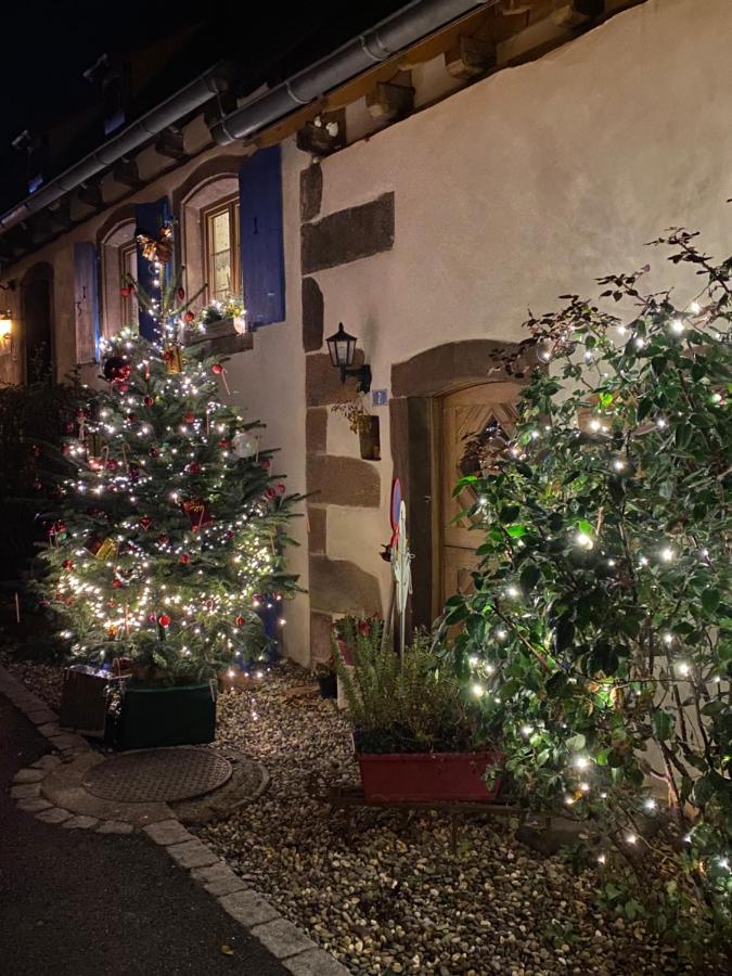Le Nid De Cigognes Hotel Hengwiller Bagian luar foto