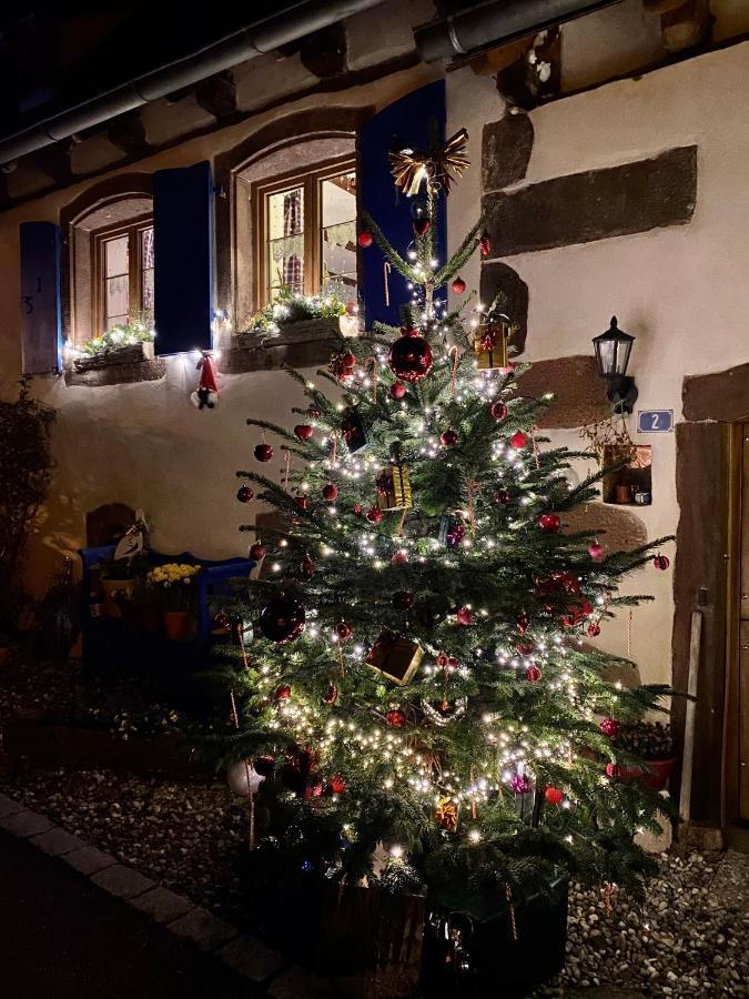 Le Nid De Cigognes Hotel Hengwiller Bagian luar foto