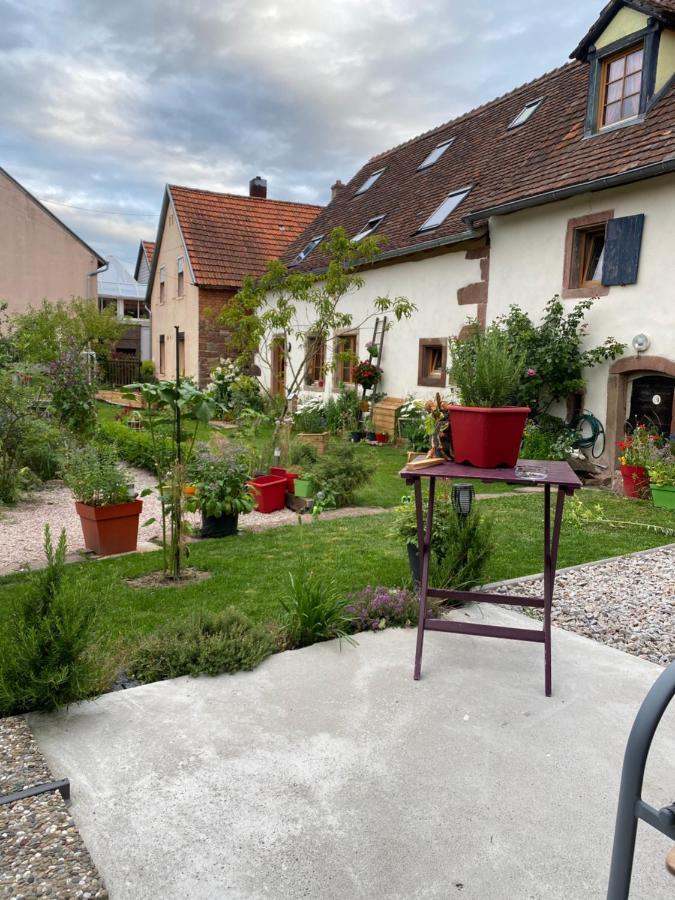 Le Nid De Cigognes Hotel Hengwiller Bagian luar foto