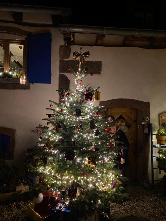 Le Nid De Cigognes Hotel Hengwiller Bagian luar foto