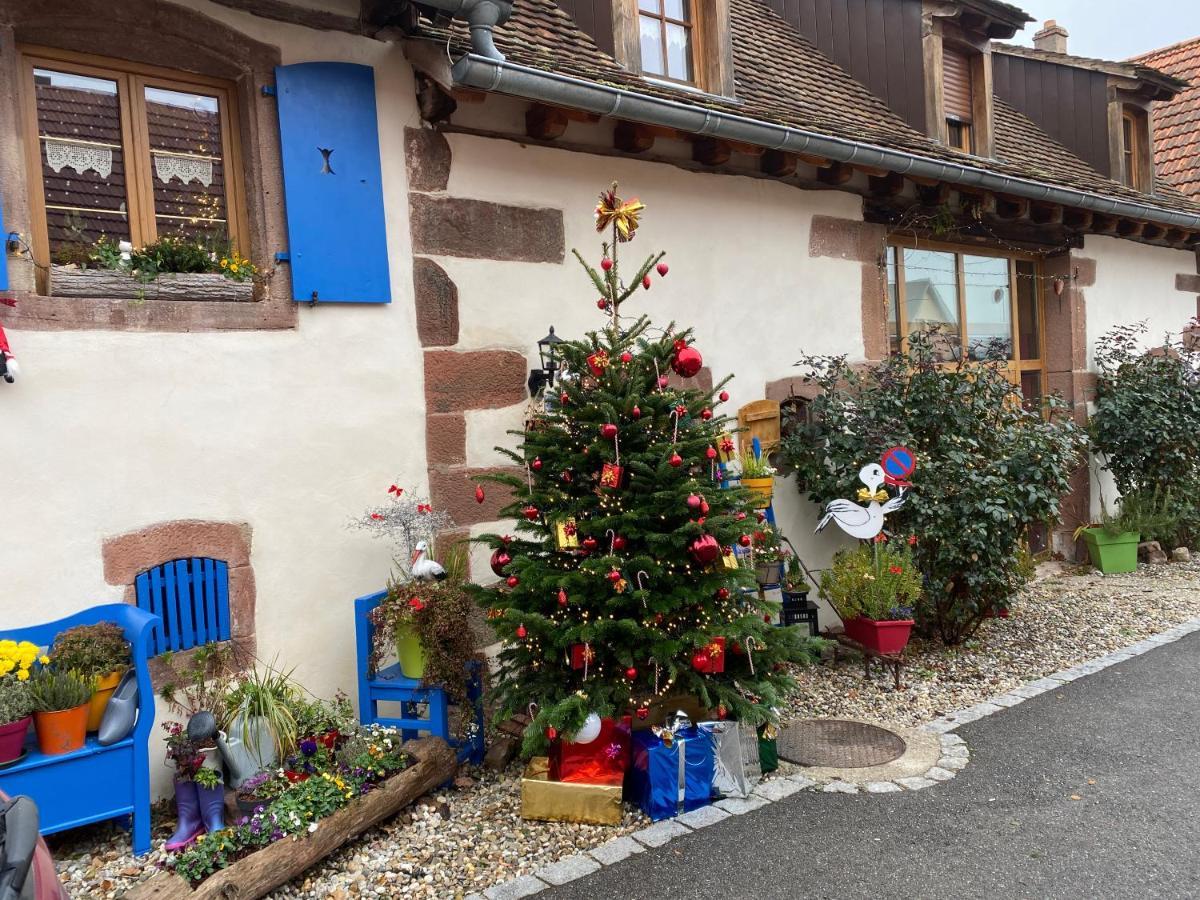 Le Nid De Cigognes Hotel Hengwiller Bagian luar foto