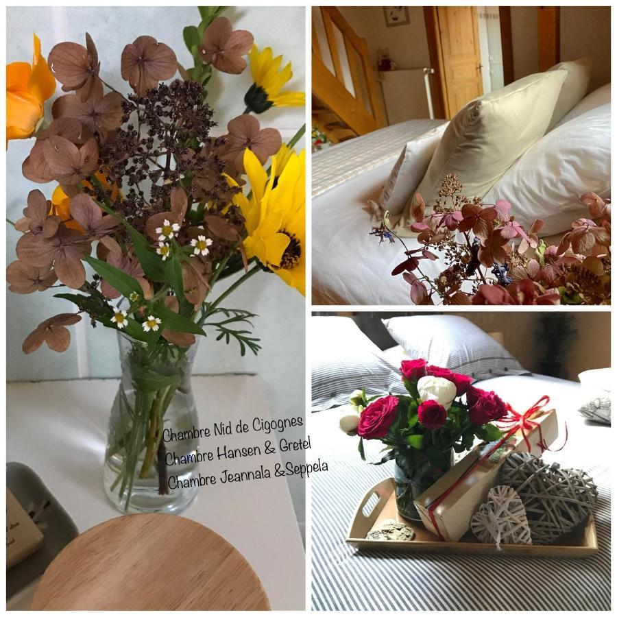 Le Nid De Cigognes Hotel Hengwiller Bagian luar foto