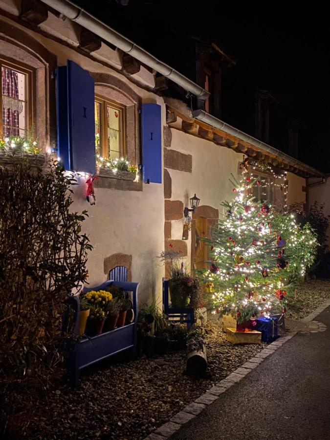 Le Nid De Cigognes Hotel Hengwiller Bagian luar foto