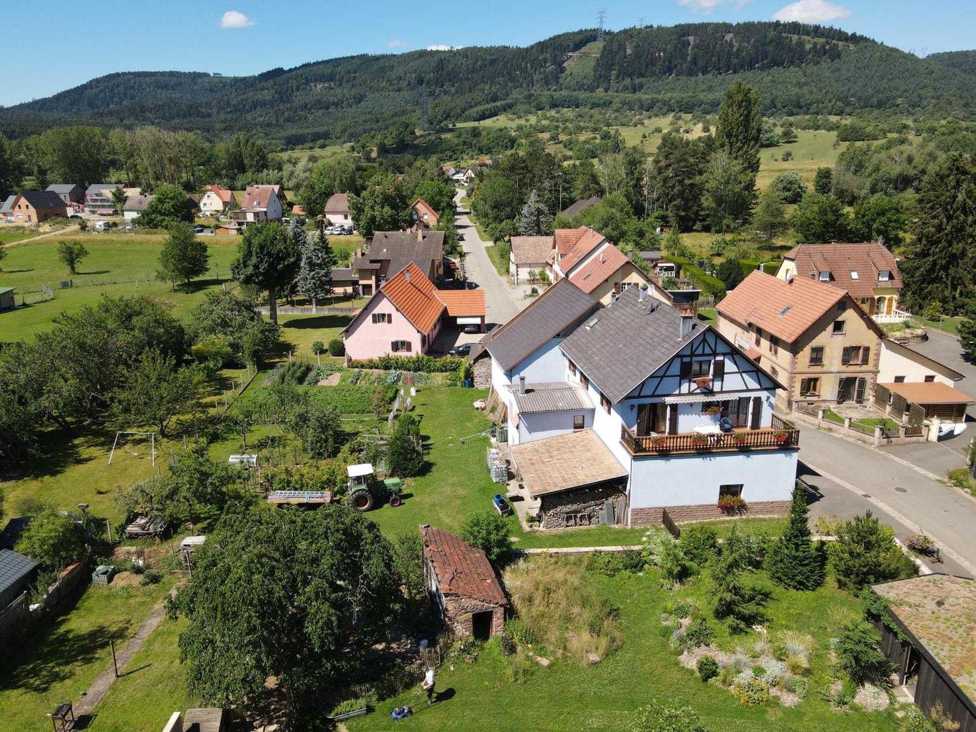 Le Nid De Cigognes Hotel Hengwiller Bagian luar foto
