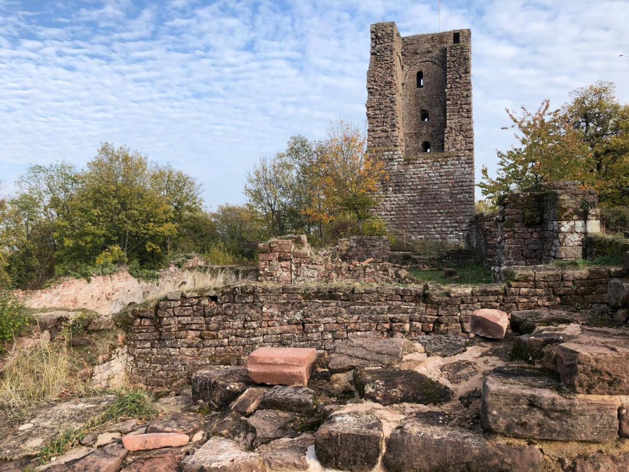 Le Nid De Cigognes Hotel Hengwiller Bagian luar foto